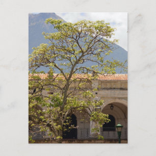 Carte Postale Central Park, Antigua Postcard