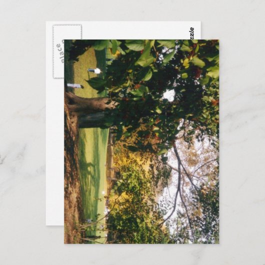 Carte Postale Central Park en automne (Devant / Derrière)