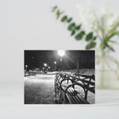 Carte Postale Central Park en hiver (Debout devant)