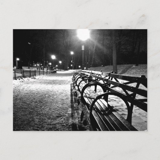 Carte Postale Central Park en hiver (Devant)