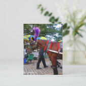 Carte Postale Central Park Horse (Debout devant)
