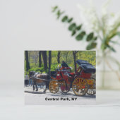 Carte Postale Central Park, Horse et Carriage (Debout devant)