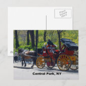 Carte Postale Central Park, Horse et Carriage (Devant / Derrière)
