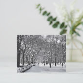 Carte Postale Central Park Mall B&W (Debout devant)