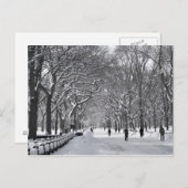 Carte Postale Central Park Mall B&W (Devant / Derrière)