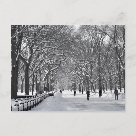 Carte Postale Central Park Mall B&W (Devant)