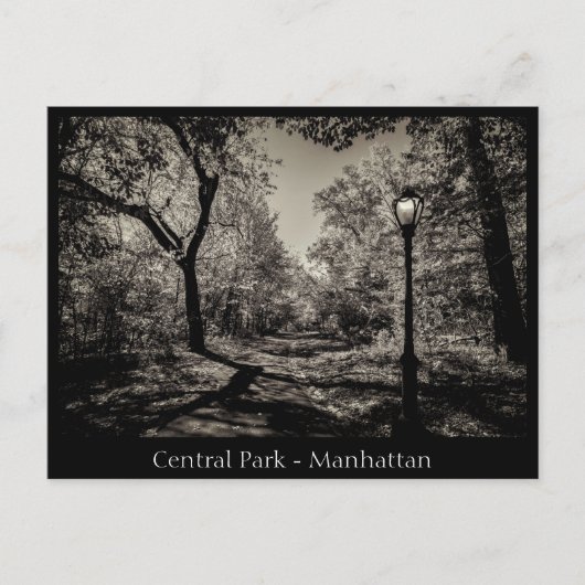 Carte Postale Central Park Manhattan en noir et blanc (Devant)