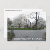Carte Postale Central Park New York Springtime Path avec arbres (Devant / Derrière)