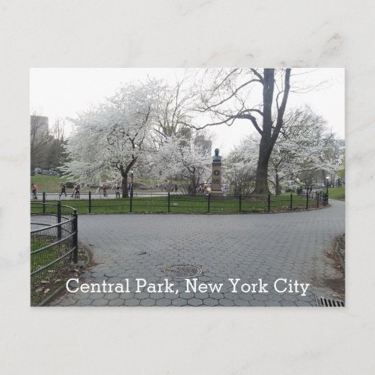 Carte Postale Central Park New York Springtime Path avec arbres (Devant)