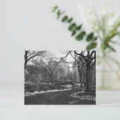 Carte Postale Central Park noir du blanc NY (Debout devant)
