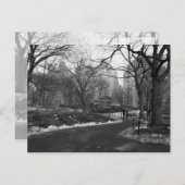 Carte Postale Central Park noir du blanc NY (Devant / Derrière)