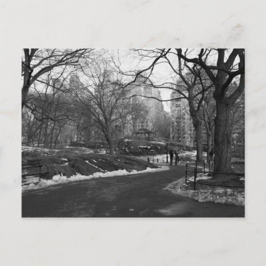 Carte Postale Central Park noir du blanc NY (Devant)