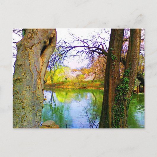Carte Postale Central Park, NY (Devant)