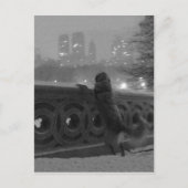 Carte Postale Central Park, NYC, vue sur la neige depuis Bow Bri (Devant)