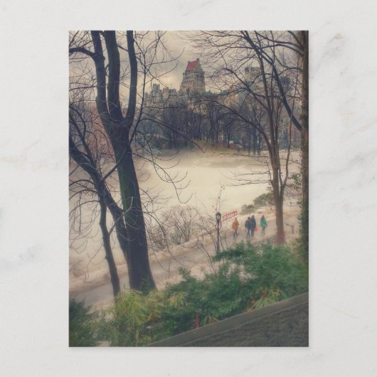 Carte Postale Central Park par une chaude journée d'hiver. (Devant)