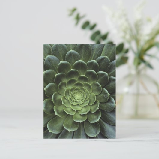 Carte Postale Centre de cactus (Debout devant)