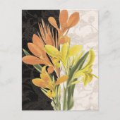 Carte Postale Centre I (Devant)