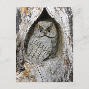 Carte Postale Centre Nature et Art