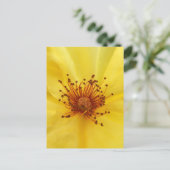 Carte postale Centre Rose jaune (Debout devant)