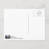 Carte Postale Centre-ville de Springfield (Dos)