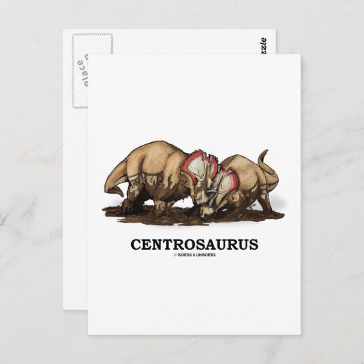 Carte Postale Centrosaurus (Devant / Derrière)