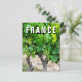 Carte Postale Cépages, France (Debout devant)