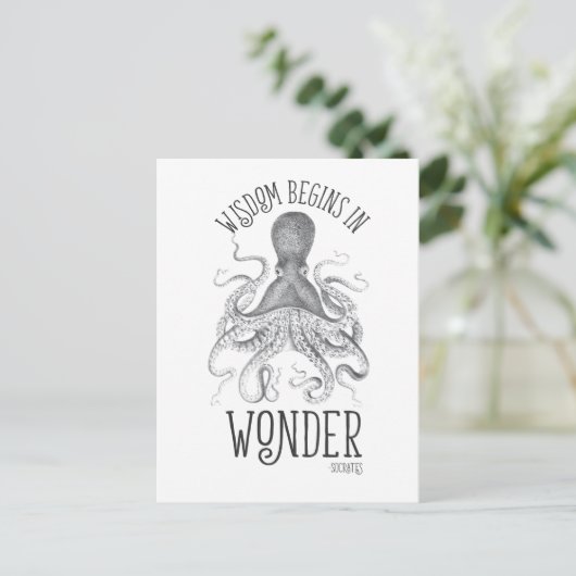 Carte Postale Céphalopode Socratique (Debout devant)