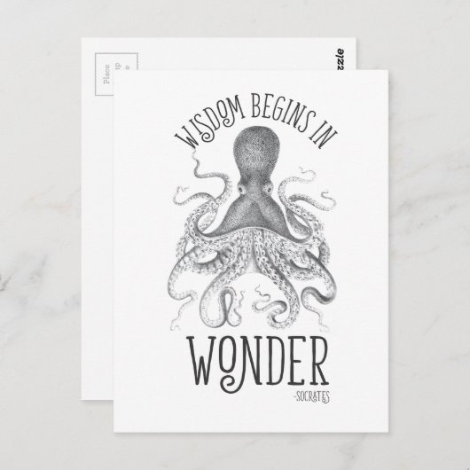 Carte Postale Céphalopode Socratique (Devant / Derrière)