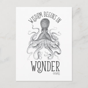 Carte Postale Céphalopode sodique