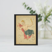 Carte Postale Cepheus (Debout devant)