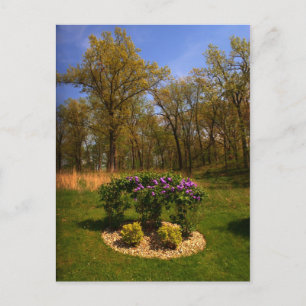 Carte Postale Cercle De Beauté