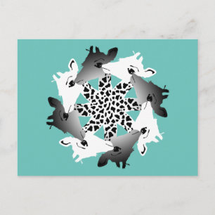 carte postale cercle de girafes