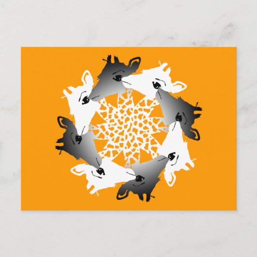 Carte Postale cercle de girafes (Devant)