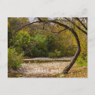 Carte Postale Cercle de la Nature