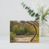 Carte Postale Cercle de la Nature (Debout devant)