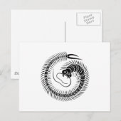 Carte Postale Cercle de mille-pattes (Devant / Derrière)