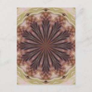 Carte Postale Cercle de plumes