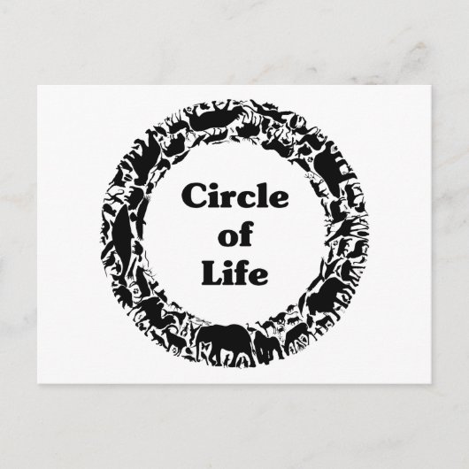 Carte Postale Cercle de vie (Devant)