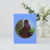 Carte Postale Cercle rouge de pigeon (Debout devant)