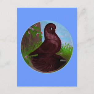 Carte Postale Cercle rouge de pigeon