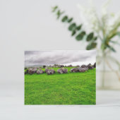 Carte Postale Cercles à Carrowmore (Debout devant)