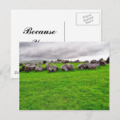 Carte Postale Cercles à Carrowmore (Devant / Derrière)