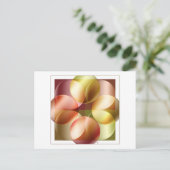 Carte Postale Cercles carrés (Debout devant)