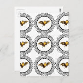 Carte Postale Cercles de batte (Devant / Derrière)