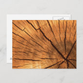 Carte Postale Cercles de tronc d'arbre (Devant / Derrière)