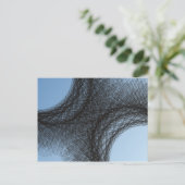 Carte Postale cercles sombres superposés (Debout devant)