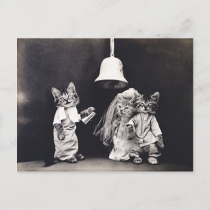 Carte Postale Cérémonie de Mariage mignonne Vintage Funny Kitten
