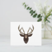 Carte Postale Cerf (Debout devant)