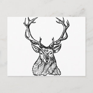 Carte Postale Cerf
