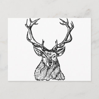 Carte Postale Cerf